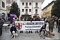 VBS_3877 - Quattordicesimo Raduno Nazionale dei Tabui 2024